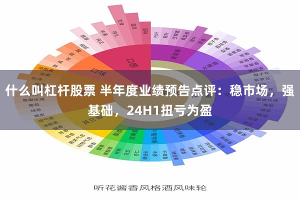 什么叫杠杆股票 半年度业绩预告点评：稳市场，强基础，24H1扭亏为盈