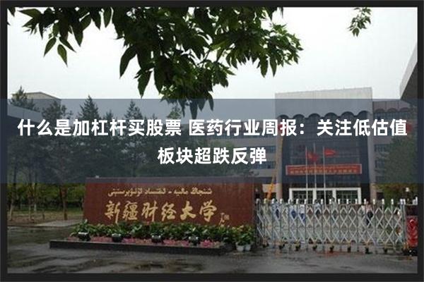 什么是加杠杆买股票 医药行业周报：关注低估值板块超跌反弹