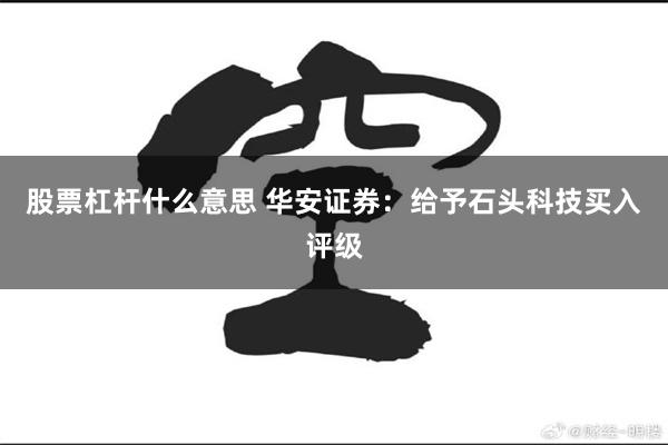 股票杠杆什么意思 华安证券：给予石头科技买入评级