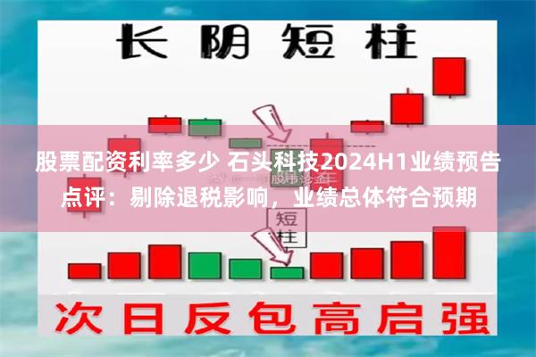 股票配资利率多少 石头科技2024H1业绩预告点评：剔除退税影响，业绩总体符合预期