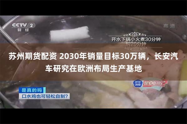 苏州期货配资 2030年销量目标30万辆，长安汽车研究在欧洲布局生产基地