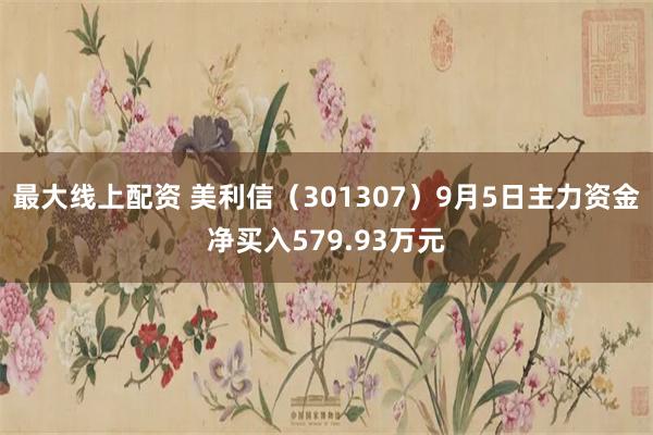 最大线上配资 美利信（301307）9月5日主力资金净买入579.93万元