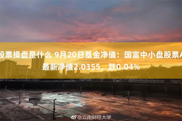 股票操盘是什么 9月20日基金净值：国富中小盘股票A最新净值2.0355，跌0.04%