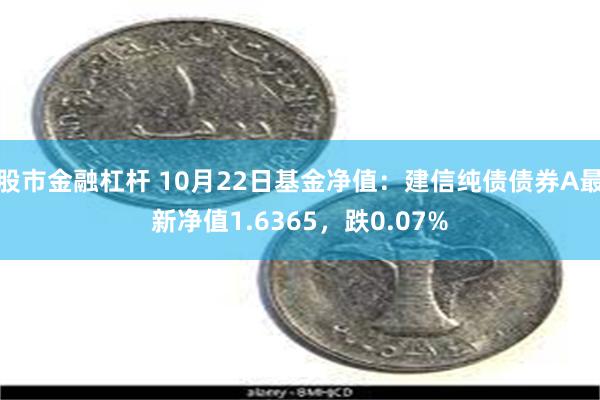 股市金融杠杆 10月22日基金净值：建信纯债债券A最新净值1.6365，跌0.07%