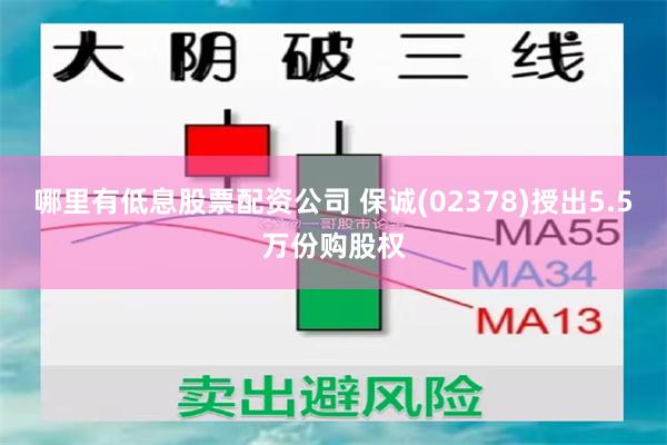 哪里有低息股票配资公司 保诚(02378)授出5.5万份购股权