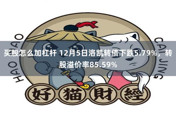 买股怎么加杠杆 12月5日洛凯转债下跌5.79%，转股溢价率85.59%