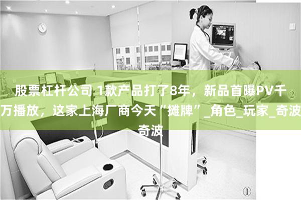 股票杠杆公司 1款产品打了8年，新品首曝PV千万播放，这家上海厂商今天“摊牌”_角色_玩家_奇波